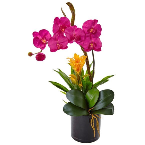 Orchid and Bromeliad in Glossy Black Cylinder - SKU #1478 - 4